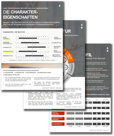 Linc Personality Profiler 2