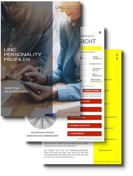 Linc Personality Profiler 1