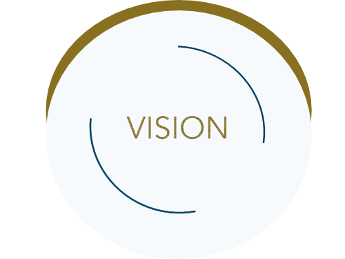 Vision