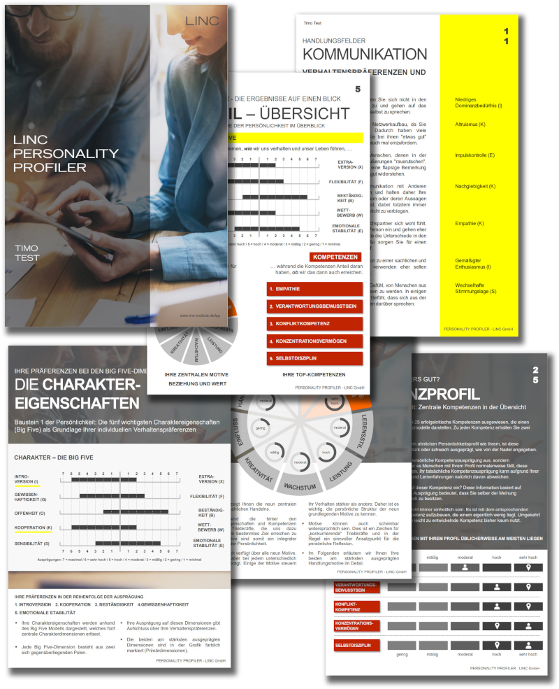 Linc Personality Profiler 1